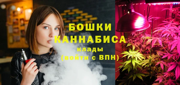 гидра Алексин