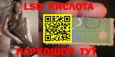 молекула духа Заводоуковск