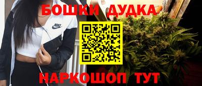 молекула духа Заводоуковск