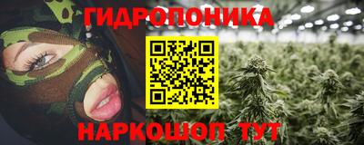 молекула духа Заводоуковск