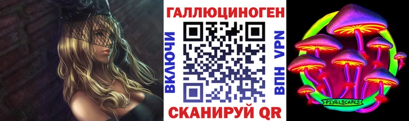 Псилоцибиновые грибы Cubensis Лесной
