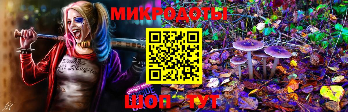Галлюциногенные грибы Magic Shrooms  Вход с VPN  Лесной 