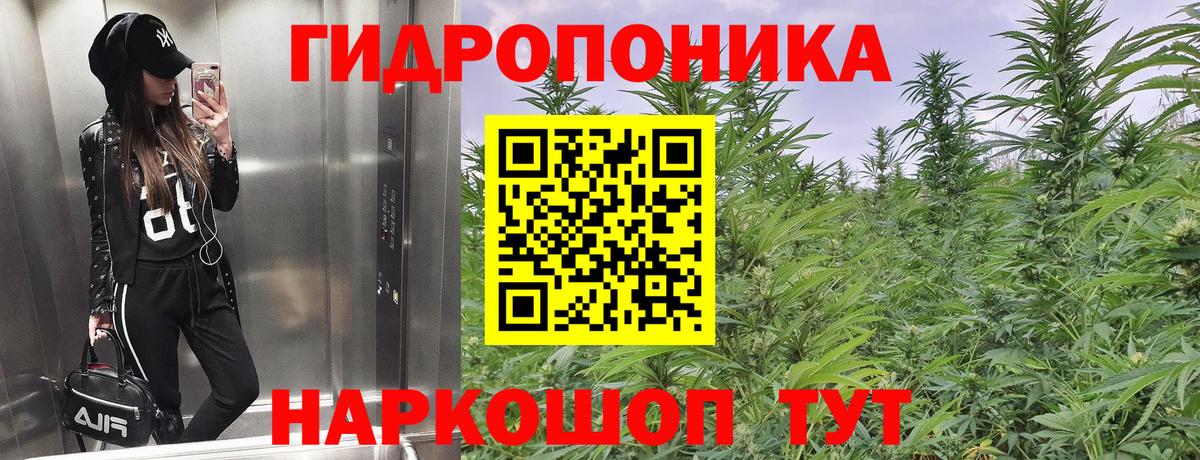 Каннабис LSD WEED  Бошки марихуана конопля  Шишки марихуана сатива  Лесной  Вход с VPN 